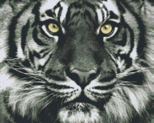 Black And White Tiger Head Sixteen [16] Baseplate PixelHobby MIni-mosaic Art Kit